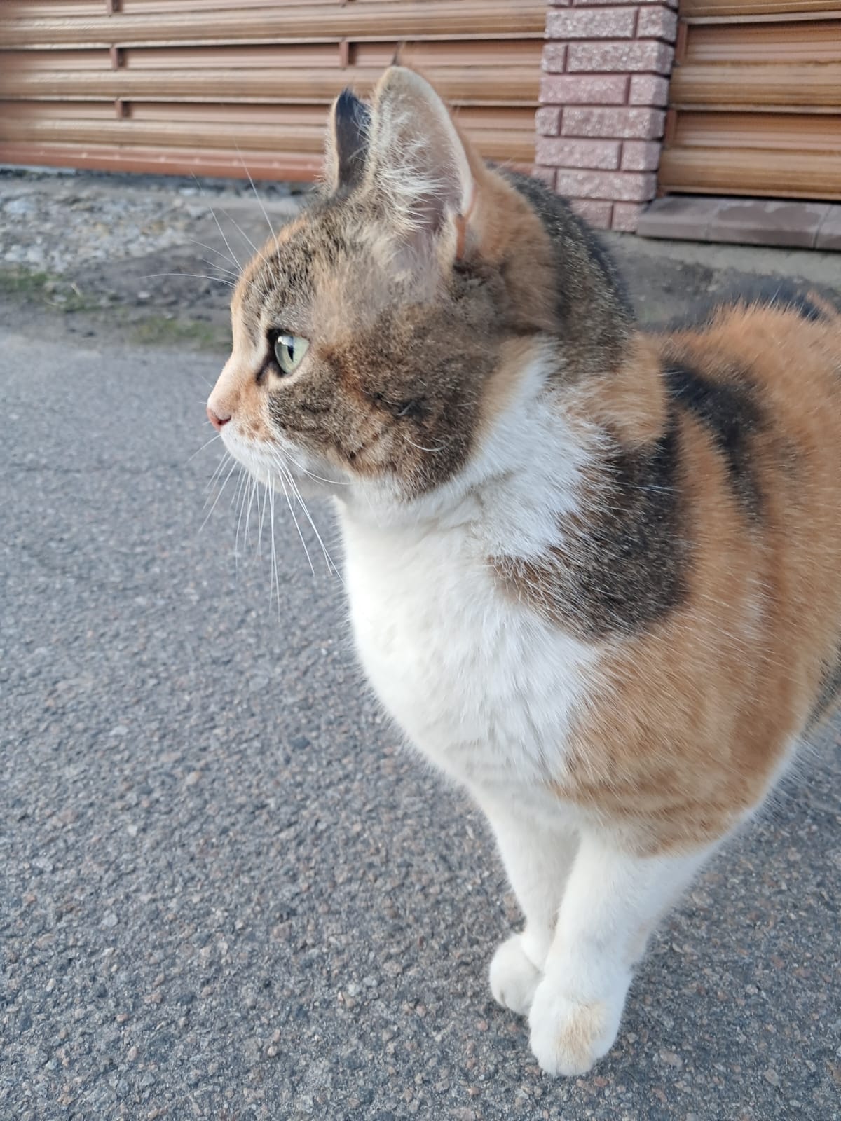 Марта