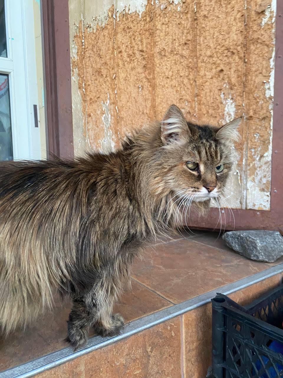 Laska
